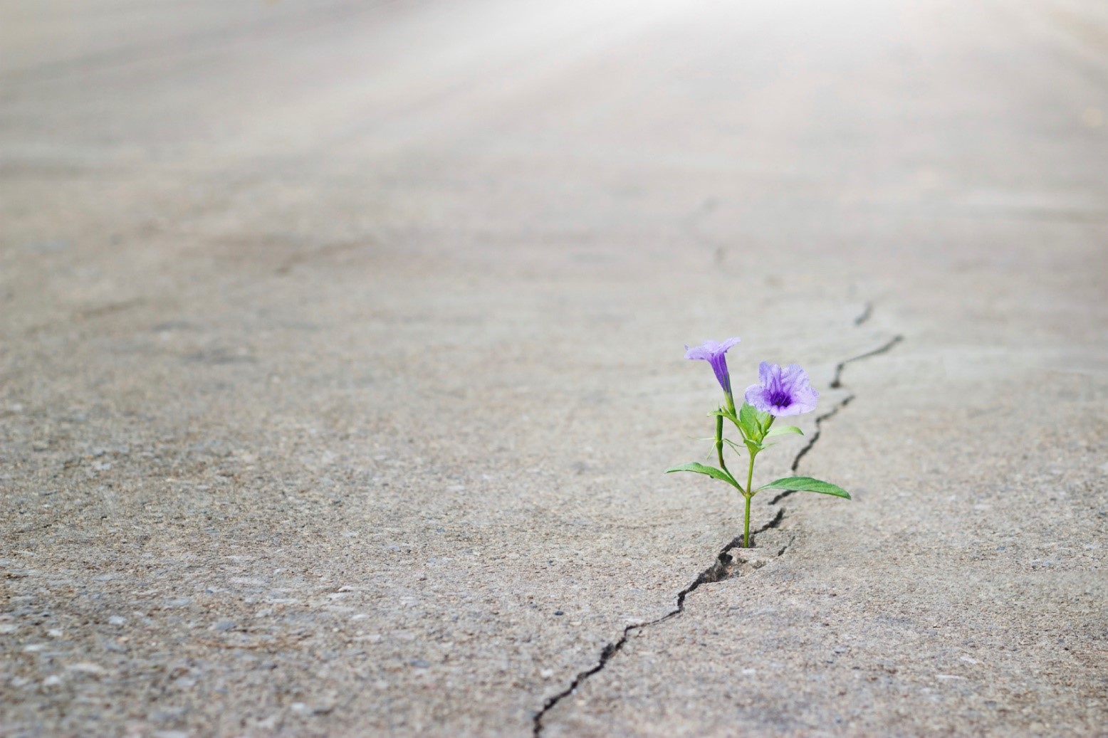 Fuel and Focus for the Journey of Life