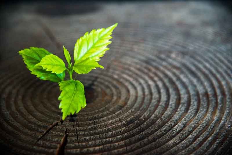 The Faithfulness of God