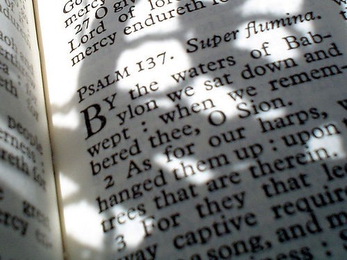How to Read an Old Testament Curse