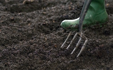 Preparing the Soil